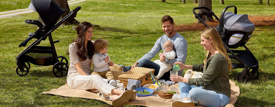 WBS Graphite Onyx Toddler FF ICS PF Picnic 300 RG Bv2 2024 11 01 175203 sqkr 2024 11 01 175326 udqc 2024 11 01 175645 bgxe 2024 11 01 175856 tvdg 2024 11 01 180007 vsyg