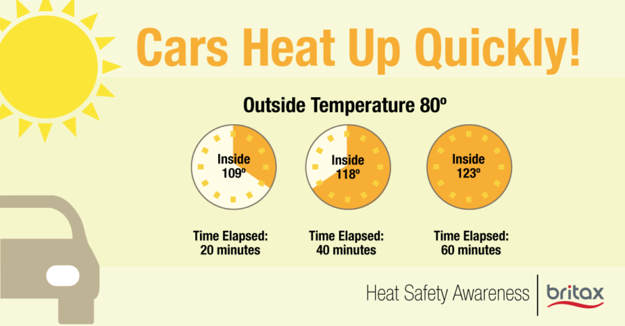 Cars heat up quickly. Outside temperature 80. Inside 109 at 20 minutes. Inside 118 at 40 minutes. Inside 123 at 60 minutes.