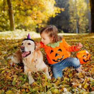 A child wearing a pumpkin shirt, sitting in fallen leaves with a dog that has a Halloween hat.