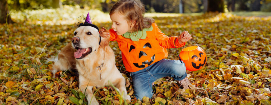 A child wearing a pumpkin shirt, sitting in fallen leaves with a dog that has a Halloween hat.