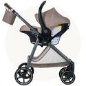 Phases Travel System top navigation circle shape 800x800
