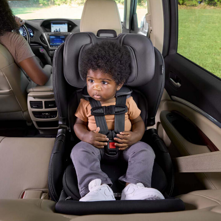 S14709800 Poplar S ARB 5 Master 2024