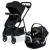 S14987900 WILLOW BROOK S RAVEN BLACK LEFT