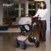 TD645 T Prism Travel System Teak 4 Master
